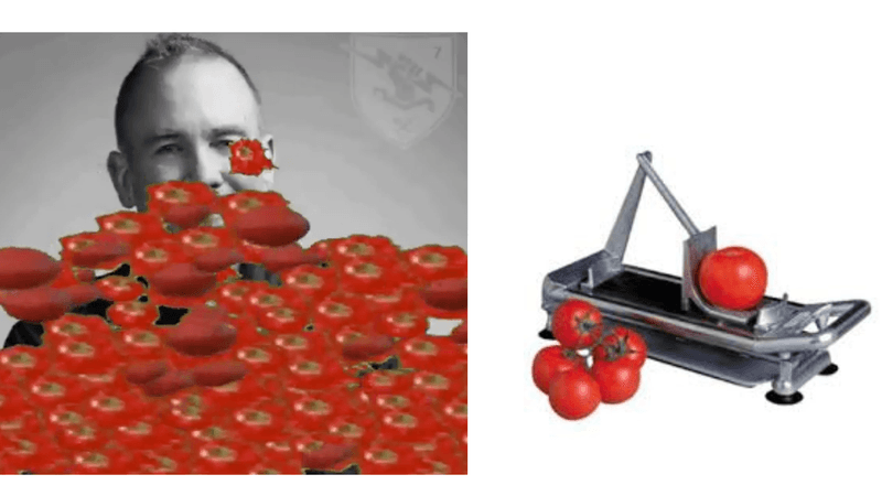 Pete Parsons killed Destiny, so I built a tomato thrower