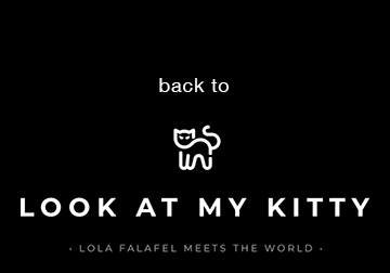 back to lookatmykitty.com